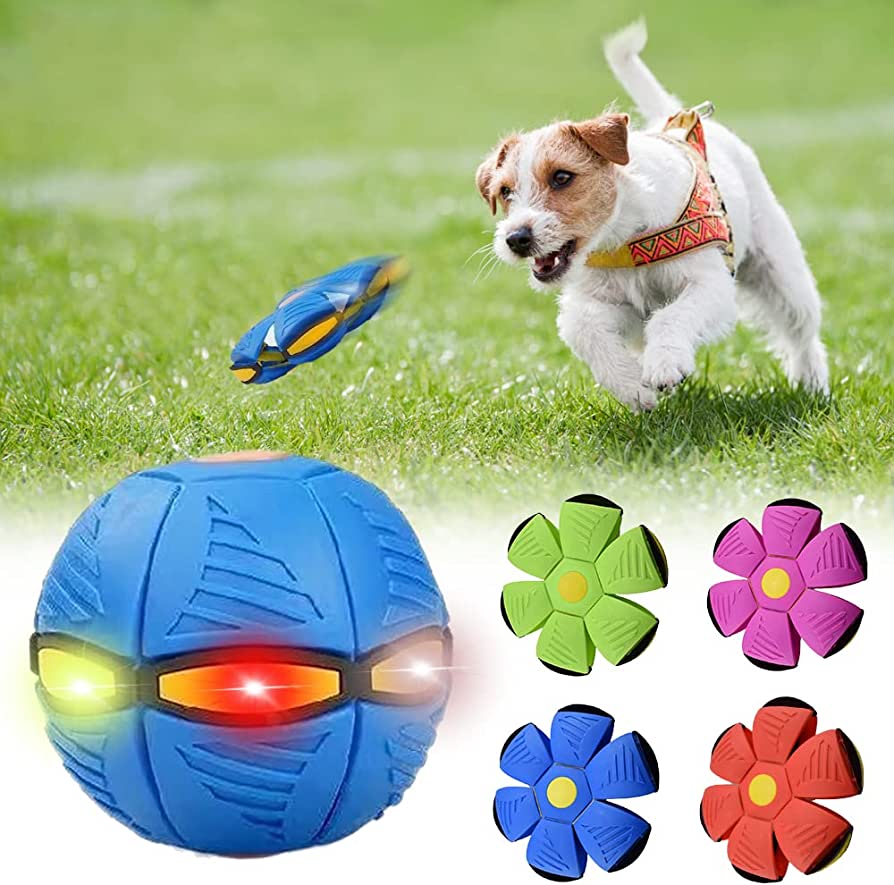 Whisker & Paw™ Dog Frisbee