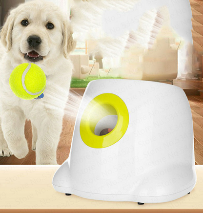Whisker & Paw Ball Launcher