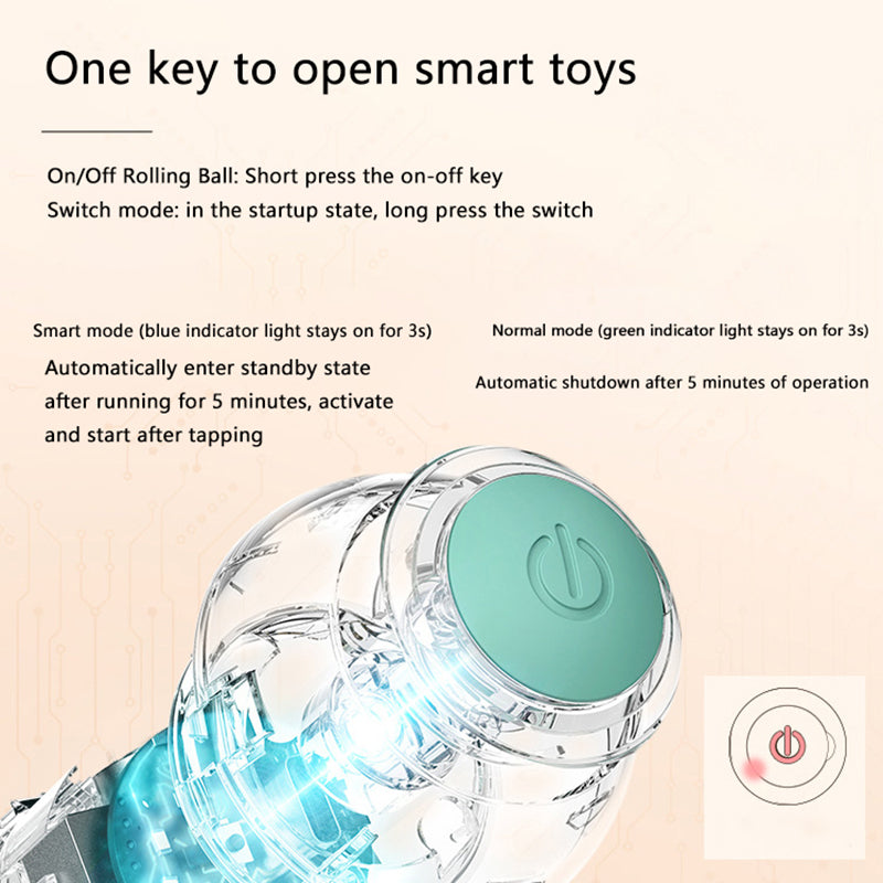 Whisker & Paw Interactive Ball