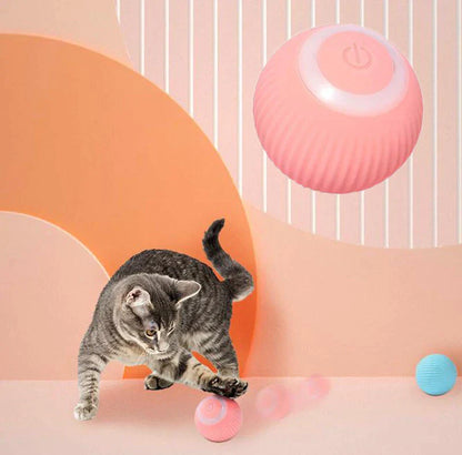 Whisker & Paw Interactive Ball