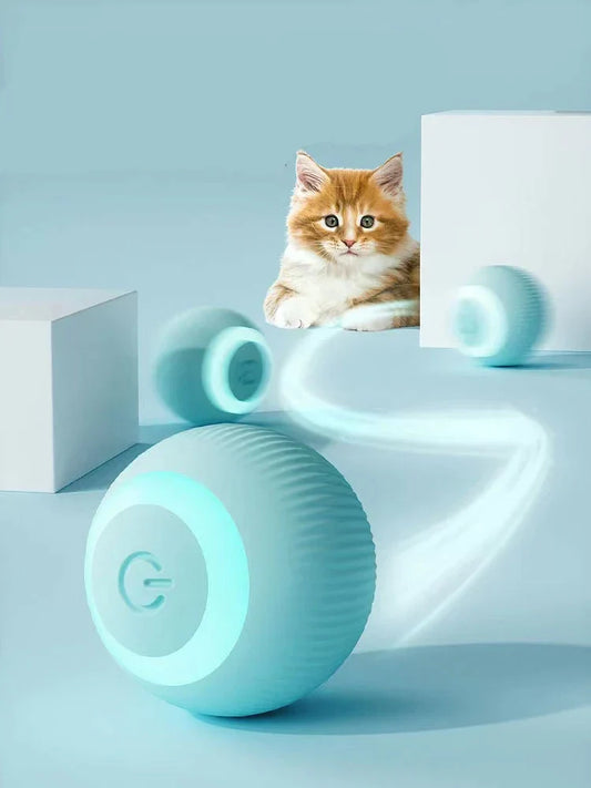 Whisker & Paw Interactive Ball