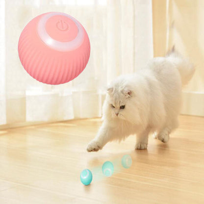 Whisker & Paw Interactive Ball