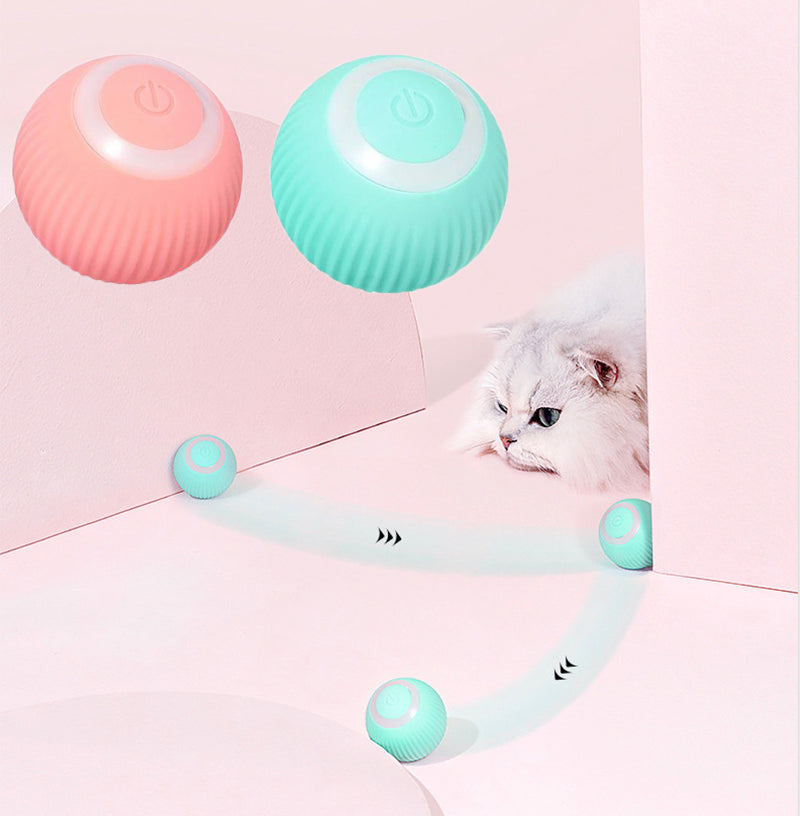Whisker & Paw Interactive Ball